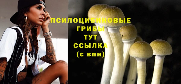 spice Арсеньев