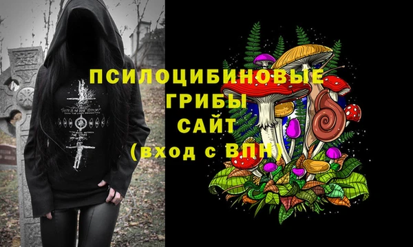 бошки Аркадак
