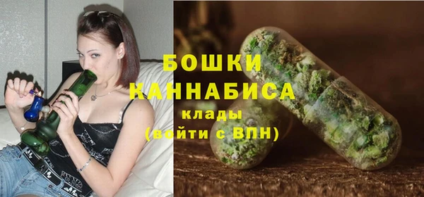 spice Арсеньев